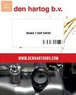 DH-ESP 5W30 BIB